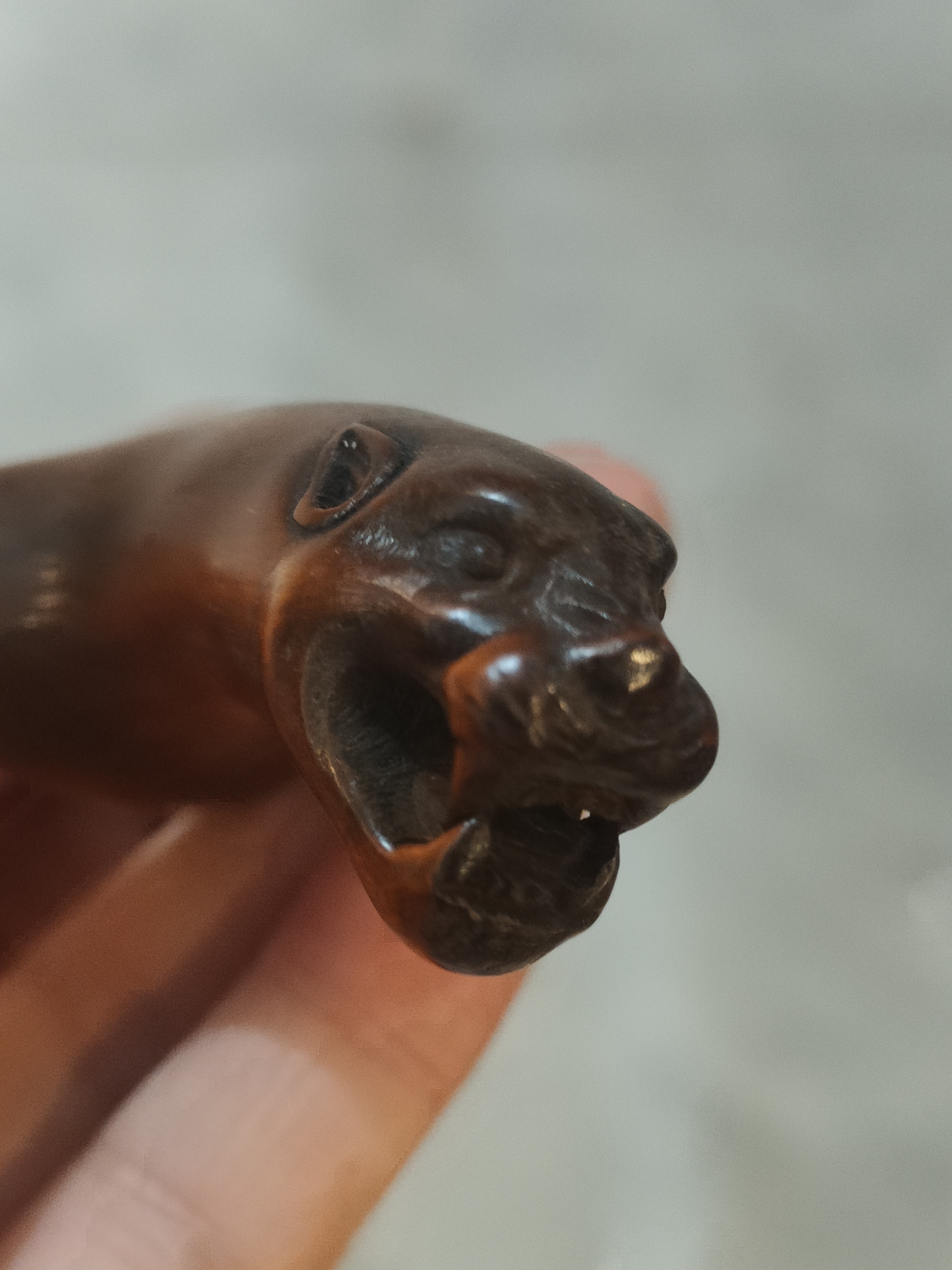 view